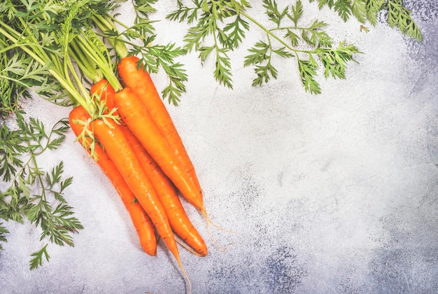 Bouquet de carottes fraîches sur fond de pierre grise Cadre de vue de dessus avec espace de copie