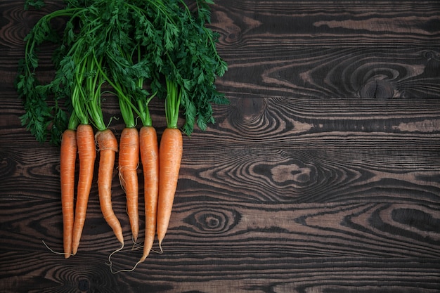 Bouquet de carottes fraîches