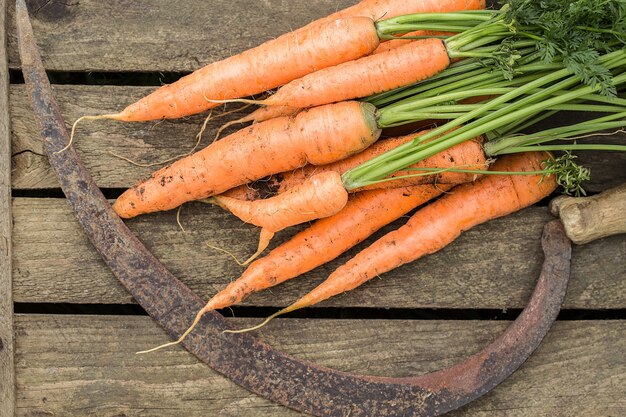 Bouquet de carottes sur une vieille planche à découper