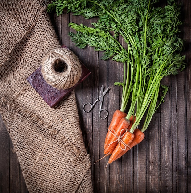 Bouquet de carottes