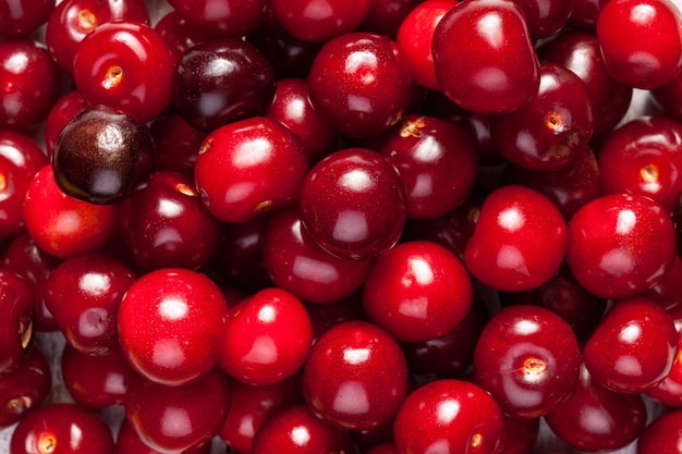 Bouquet de cerises juteuses fraîches en gros plan photo