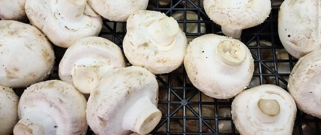 Bouquet de champignons blancs crus pour la cuisson