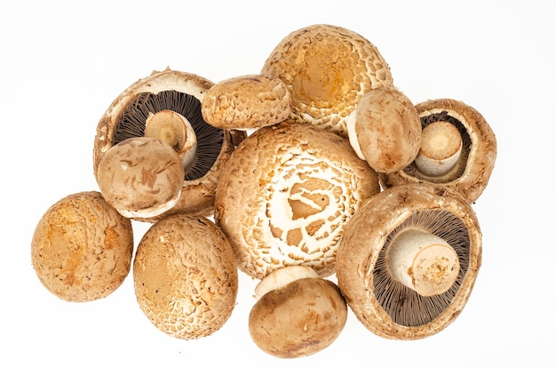 Bouquet de champignons champignon cultivés marron frais isolés sur fond blanc. Studio photo.