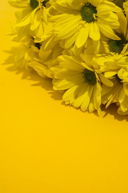 Photo bouquet de chrysanthème jaune espace copie