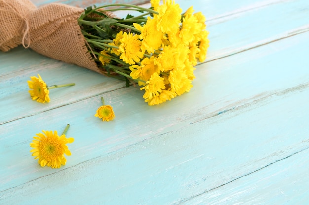 Bouquet de chrysanthème jaune sur un fond en bois bleu.