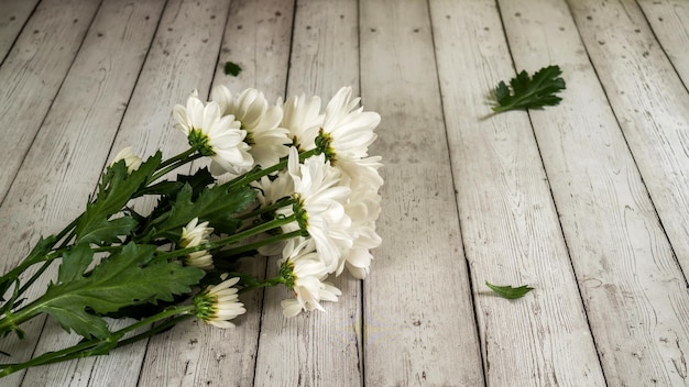 Bouquet de chrysanthèmes blancs d'automne sur un fond en bois