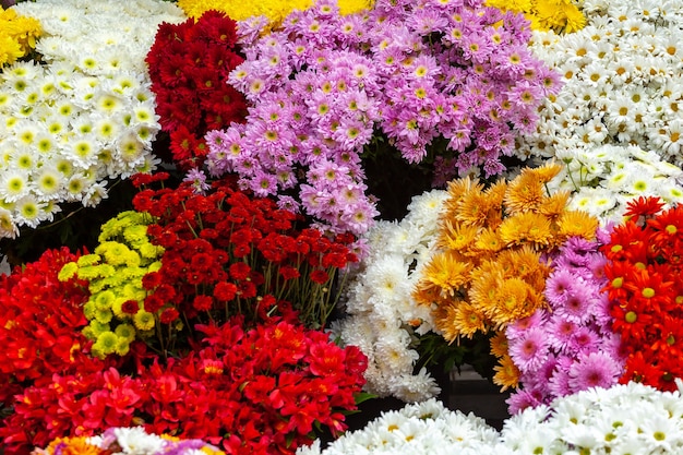 bouquet coloré de fleurs épanouies sur le marché en plein air