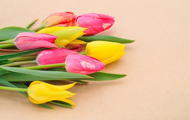 Bouquet coloré de tulipes