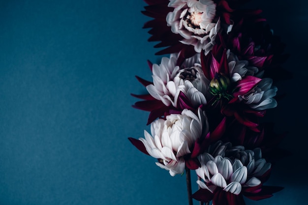 Bouquet de dahlias rouges et blancs