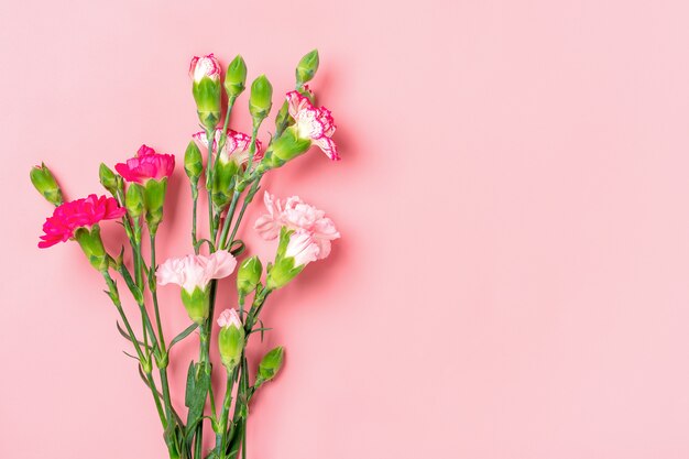 Bouquet de différentes fleurs d'oeillets roses sur fond rose Vue de dessus Mise à plat