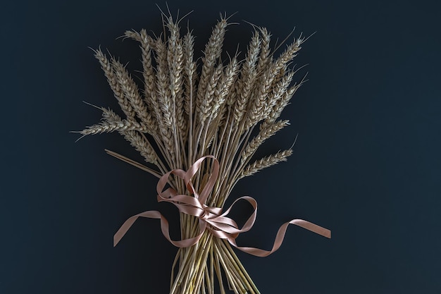 Un bouquet d'épis de blé noués d'un ruban de satin sur fond sombre.