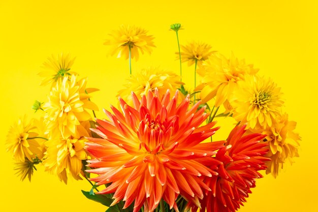 Bouquet d'été fleurs jaunes et rouges sur fond clair Chrysanthèmes et dahlias se bouchent