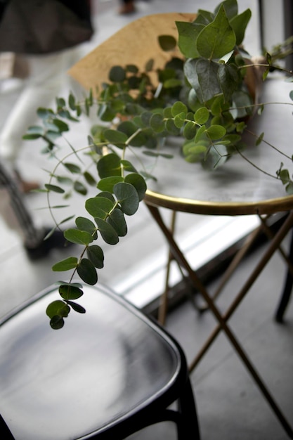 un bouquet d'eucalyptus sur la table de la cafétéria