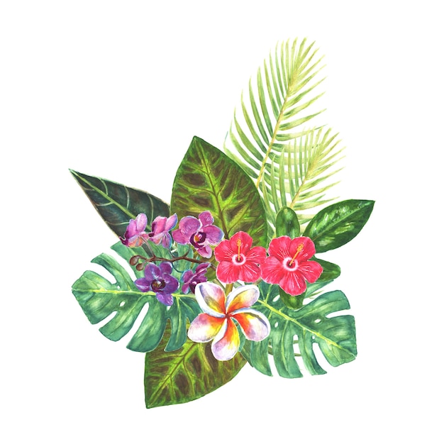 Bouquet exotique avec des fleurs tropicales lumineuses, des feuilles vertes, des branches isolées sur fond blanc. Illustration classique botanique naturelle dessinée à la main à l'aquarelle pour les invitations de mariage, cartes de voeux.