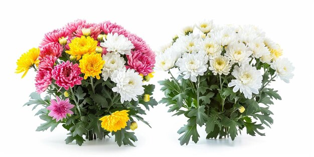 Photo bouquet fait avec des fleurs de chrysanthèmes