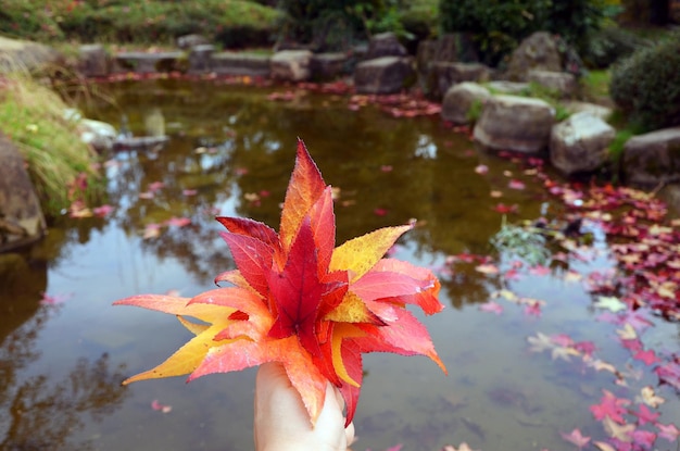 bouquet de feuilles d'automne dans la main d'une femme