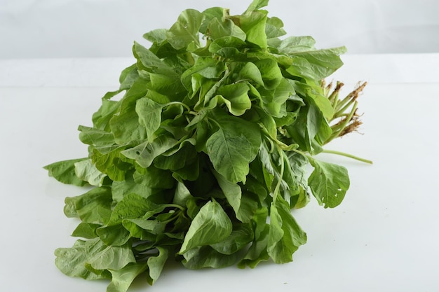 Bouquet de feuilles d'épinards frais (Amarante verte) ou bayam hijau isolé sur fond blanc