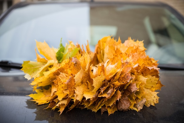 Bouquet de feuilles de marple d'automne orange sur le capot de la voiture.