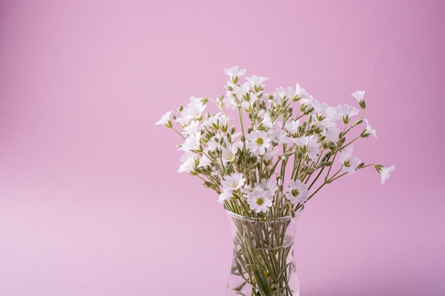 Bouquet de fleurs blanches dans un vase en verre rose