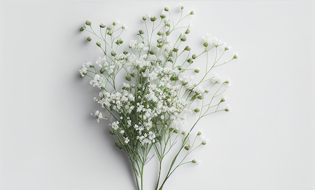 Un bouquet de fleurs blanches avec des feuilles vertes et des fleurs blanches.