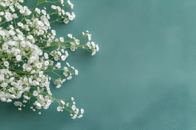 Un bouquet de fleurs blanches sur fond bleu