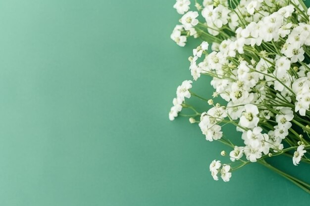 Un bouquet de fleurs blanches sur fond vert