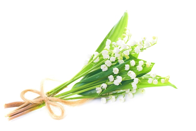 Bouquet de fleurs blanches muguet isolé sur fond blanc