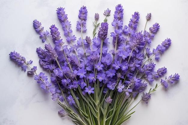 Un bouquet de fleurs bleues lavande sur un fond clair vue de haut