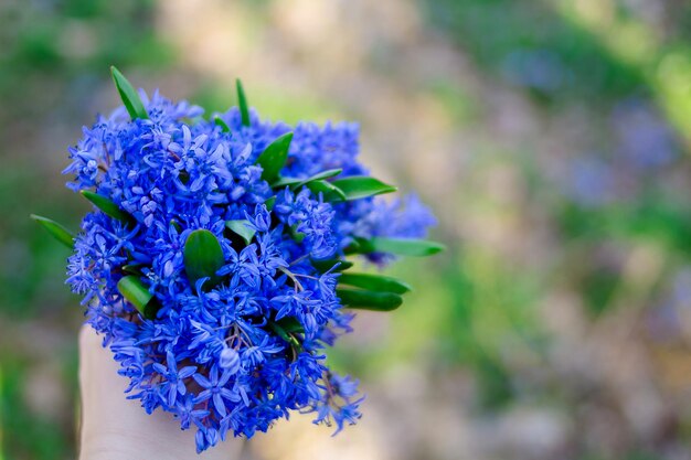 Un bouquet de fleurs bleues printanières