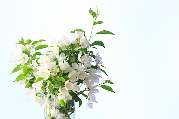 bouquet de fleurs de branches de pommier dans un vase, un beau bouquet à l'intérieur du loft de printemps