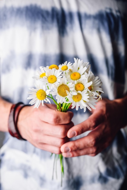 Bouquet de fleurs de camomille sauvage