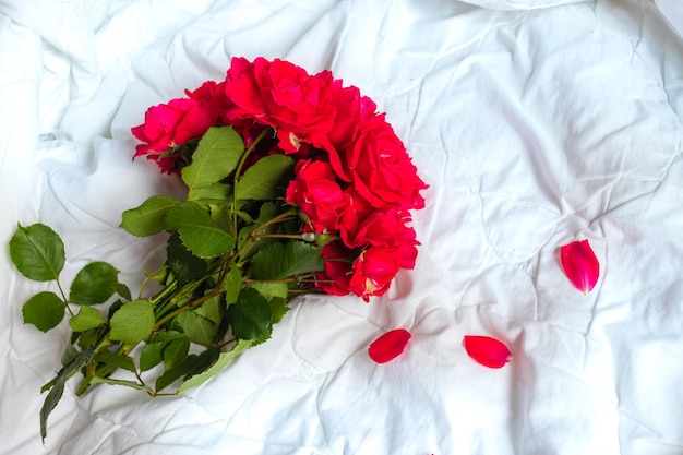 Bouquet de fleurs colorées de roses rouges isolé sur fond blanc Gros plan