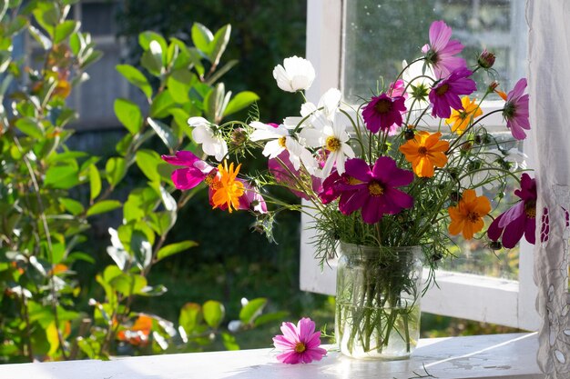 Photo bouquet de fleurs cosmos sur le rebord de la fenêtre