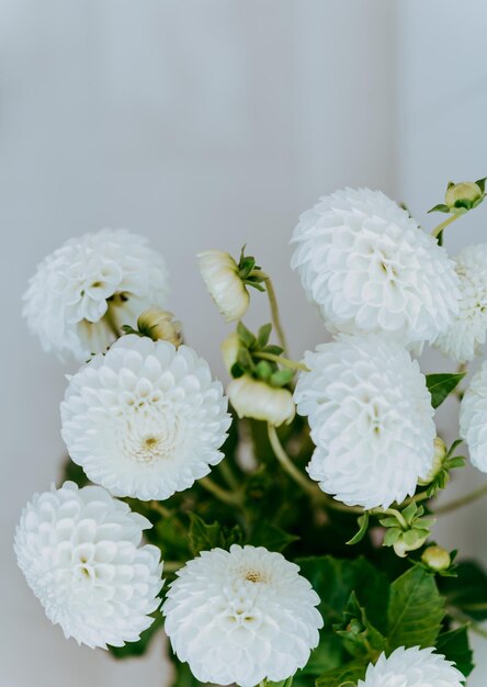 Photo bouquet de fleurs de dahlias d'automne contre le mur blanc vue de face espace de copie