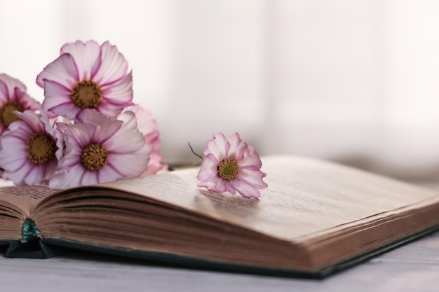 Un bouquet de fleurs délicates se trouve sur un livre ouvert