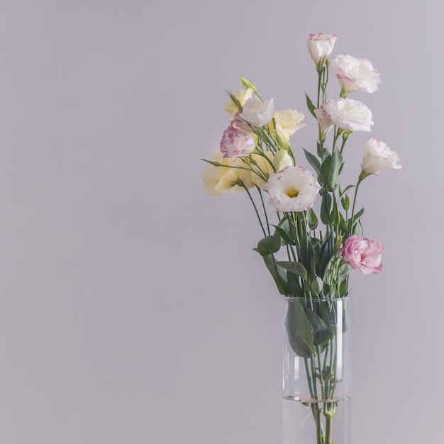 Bouquet de fleurs Eustoma dans un vase sur fond gris.