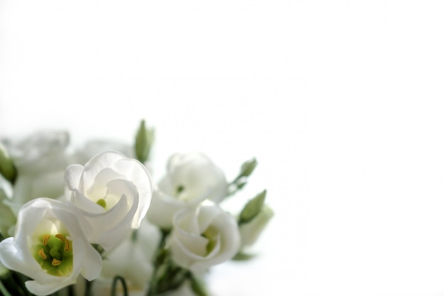 Bouquet de fleurs d&#39;eustoma sur fond blanc.