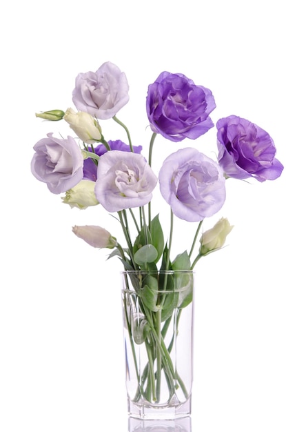 Bouquet de fleurs d'eustoma violet et blanc dans un vase en verre isolé sur blanc