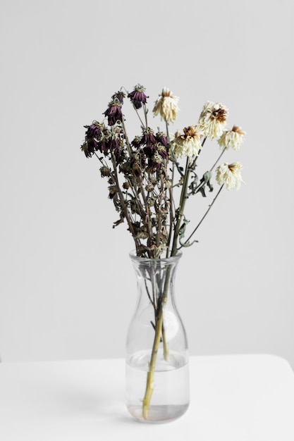 Bouquet de fleurs fanées sur un mur blanc