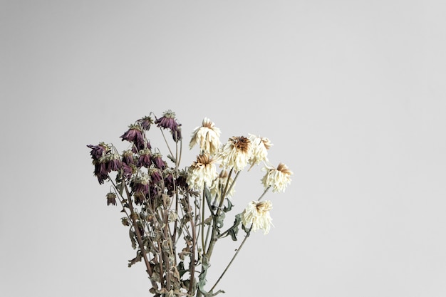 Bouquet de fleurs fanées sur un mur blanc
