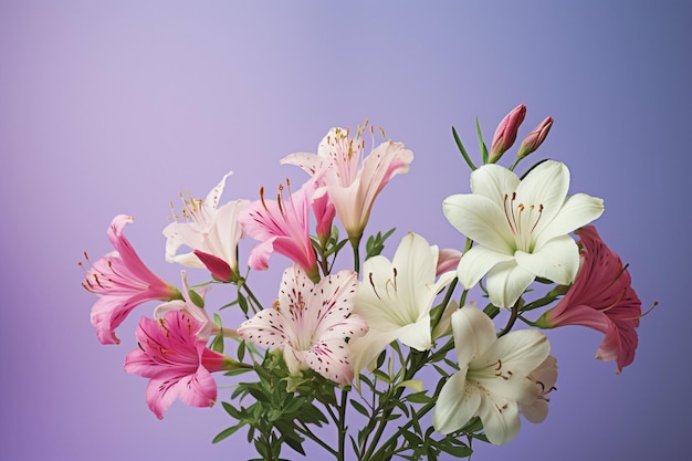 Un bouquet de fleurs avec des fleurs roses et blanches