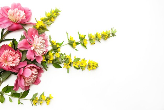 un bouquet de fleurs sur fond blanc avec une fleur rose et jaune.