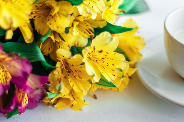 Bouquet de fleurs sur fond blanc.