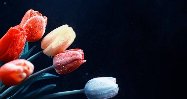 Photo bouquet de fleurs fraîches. cadeau de vacances à votre bien-aimé. contexte saint-valentin. rose, tulipe, composition florale d'iris.