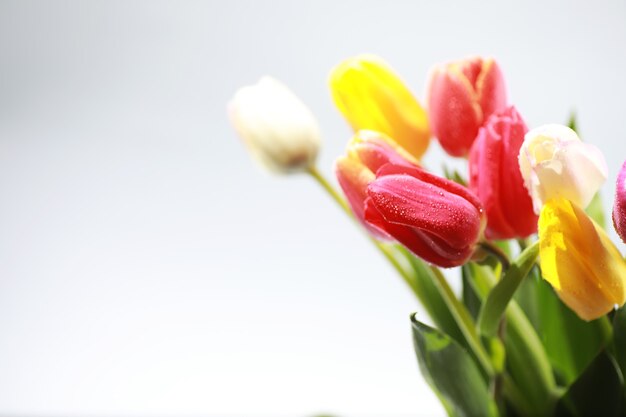 Bouquet de fleurs fraîches Cadeau de vacances à votre bien-aimé Contexte Saint Valentin