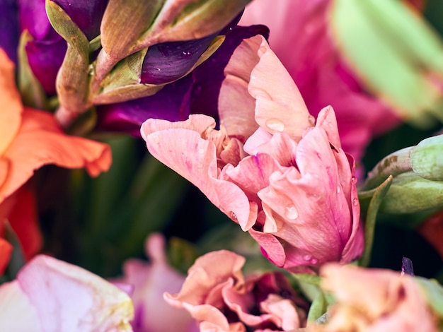 Bouquet de fleurs de glaïeuls colorés