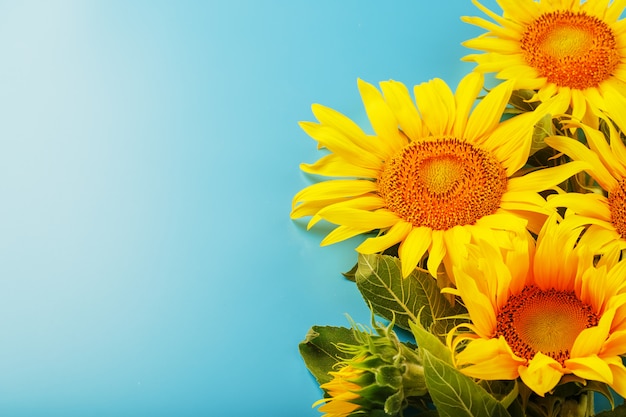 Un bouquet de fleurs de graines de tournesol sur bleu