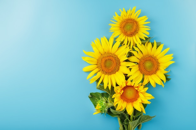 Un bouquet de fleurs de graines de tournesol sur bleu