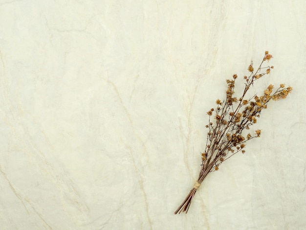 Bouquet de fleurs de gypsophile séchées pour la décoration