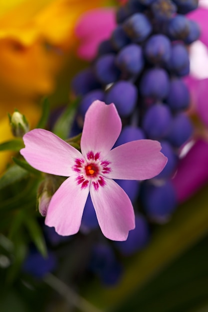 Un bouquet de fleurs de jardin